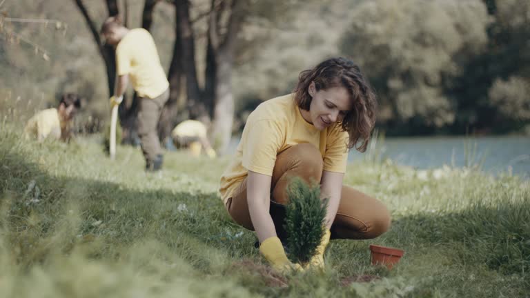 Best Lawn Drainage Solutions  in Hamilton, GA