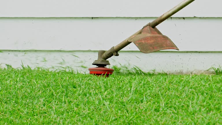 Best Tree Health Inspection  in Hamilton, GA
